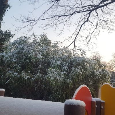 peeping over the snowy climbing frame